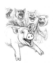 ilustrace k Animal Farm